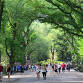DSC_7503.jpg